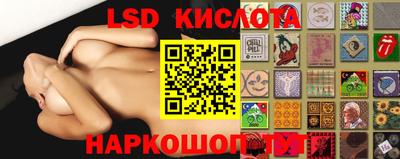 гашик Берёзовский
