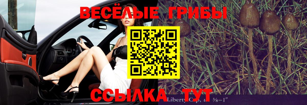 Псилоцибиновые грибы MAGIC MUSHROOMS  Артёмовский 